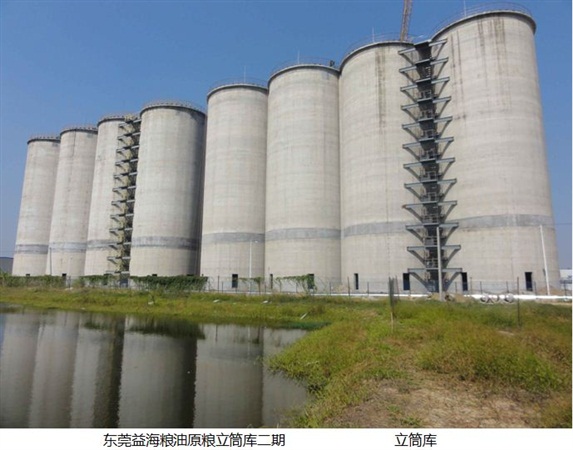 廣東東莞項目